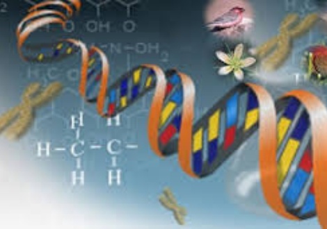 7th International Medical genetics conferance 