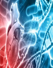 Cardiogenetics Clinic