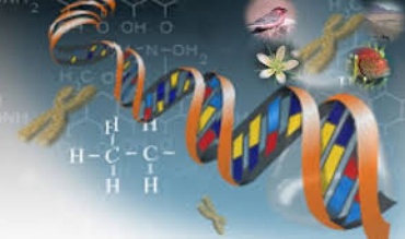 7th International Medical genetics conferance 