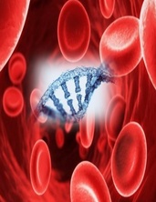 Genetic Clinic for blood disorders